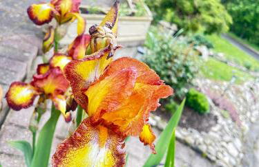 Izerski Poranek - Foto 18