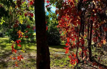 Domaine Plan des Devens - Foto 33