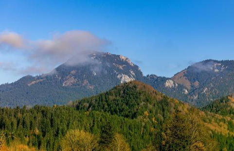 GM-Stays Wendelstein Lodge - BRIGHT Collection - Foto 42