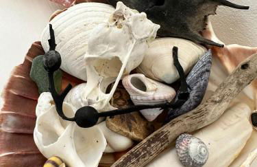 Kinnoull House near Stornoway Hot-Tub Sauna Pet Friendly - Photo 36