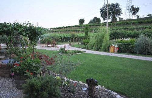 Agriturismo Corte Albarel - Foto 13