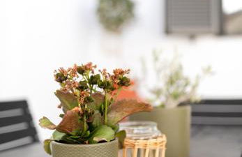 Villa Basilio - Foto 52