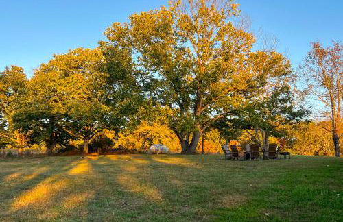 Cozy Log Cabin Getaway with Fire Pit and 3 Acres! - Photo 38