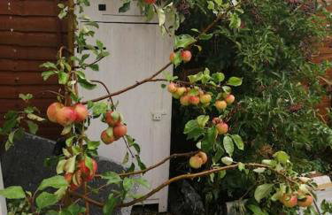 Welsh Miners Cottage Four Bedroom House - Foto 11