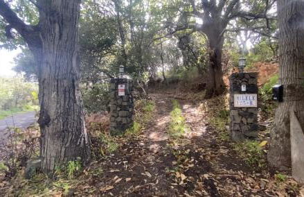 Vv Casa Milele - Foto 3