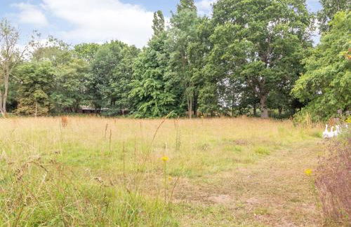 The Hen House - Photo 21