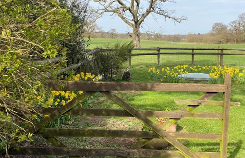 Private Entry Double Bedroom With Beautiful Views! - Foto 17