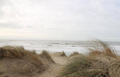 Y Felin - Moana - Foto 29