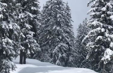 La Clusaz Escape - Foto 24