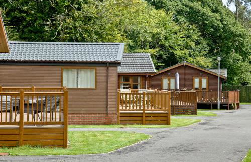 Forest Glade Lodge - Foto 19