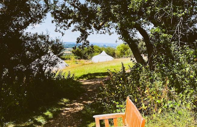 Nest and Nurture - Photo 55