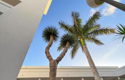 Apartament Sunrise - Foto 48