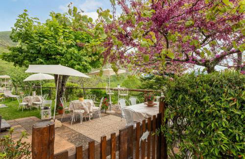 Sassi Scritti - Abete Bianco - Foto 25