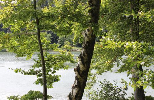 Planinska vikendica LUCIJA - Foto 28