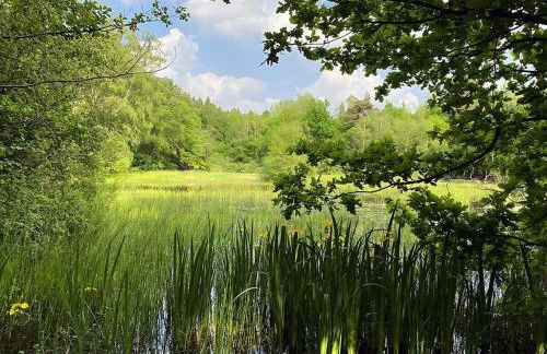 Appealing Apartment in Westerstede - Foto 47