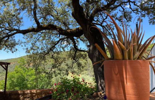 Casa Coronado Vivienda Rural - Foto 21