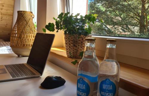 Dom Na Szlaku Mazury - Photo 21