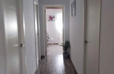 las camelias - Foto 25