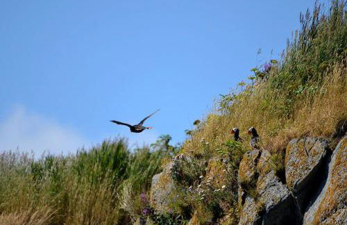 Secluded Waterfront Cottage Rental near Anchorage, Alaska - Foto 15