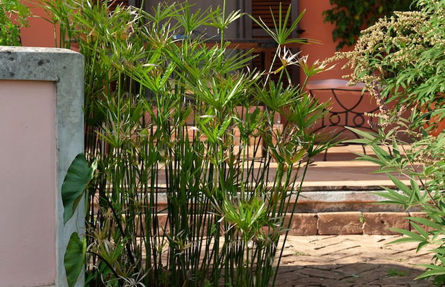 Agriturismo La Vecchia Quercia - Photo 64