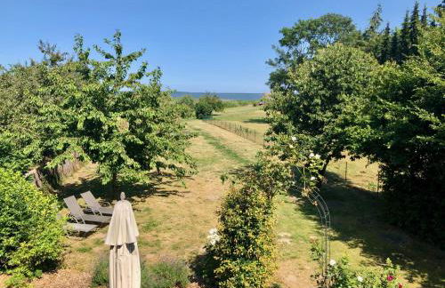 Landhaus am Achterwasser mit Bootssteg - Foto 35