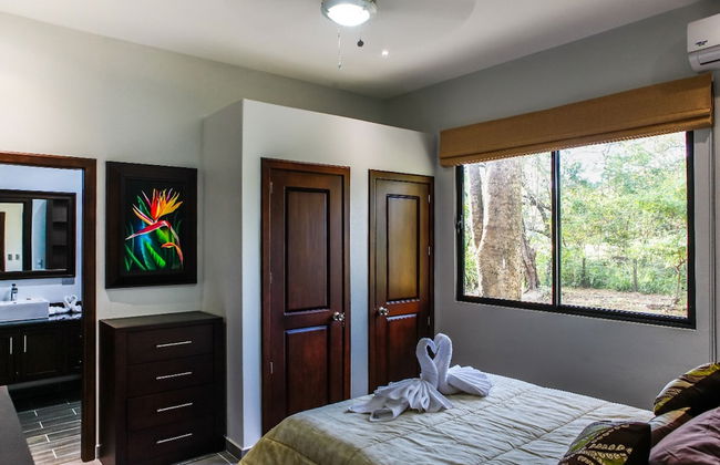 Hidden Palms Nosara - Photo 11