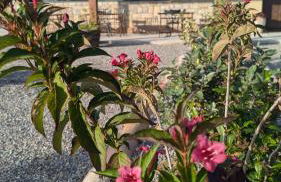 MASIA CLOTATS - Photo 29