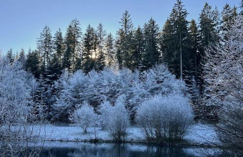 Waldachtal Hideaway - Foto 12