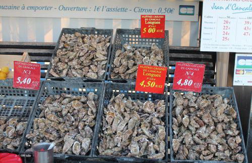 belle brise - Foto 25