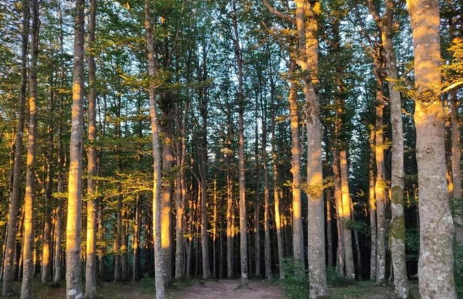 Farmhouse With Pool - Foto 40