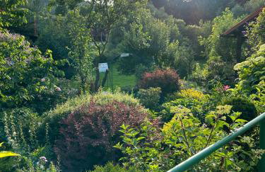 Mr. Sowa Sokolec - Foto 38