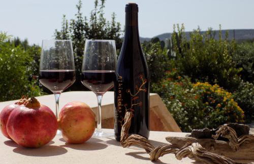 Alkionides Villas - Foto 74