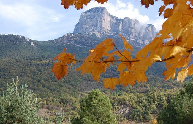 El Capricho de Nieves - Foto 63