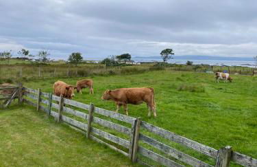 The Sheiling holiday home with gorgeous views over the isles - Foto 34