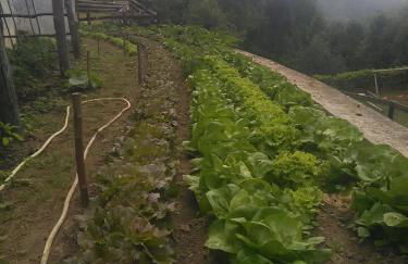 Agriturismo Fiorendo - Photo 7