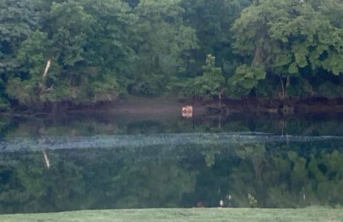 Lazy River Cabin, River Front, Hot Tub, WIFI, 560 in FREE Attraction tickets each paid day! - Foto 29