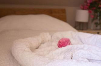 Kuzey Apartments - Foto 45