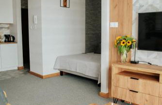 CityStudio Częstochowa "garage free" - Photo 10