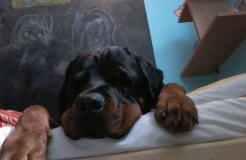 Osada nad Potokiem - Foto 62