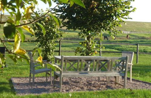 Hof Homfeld - Foto 10