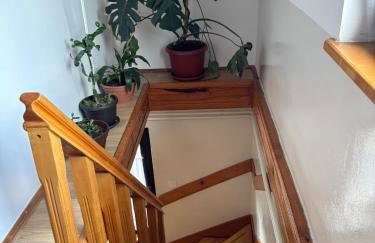 Apartment Jelena - Foto 24