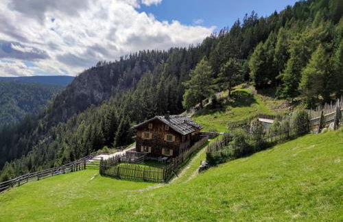 Hirschhof Pfrein - Hideaway - Photo 1