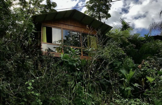 Cabañas del Lago - Foto 51