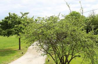 Villa Fleurie - Foto 37