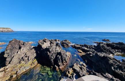 Quinta Rico - House II - Photo 61