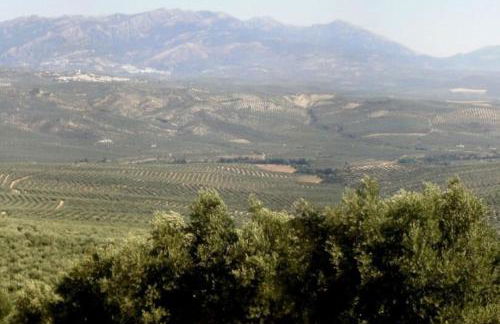 Cortijo El Derramadero - Foto 16