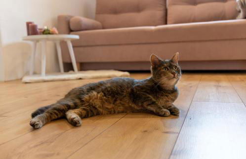 Pension-EINFACHANDERS - Foto 6