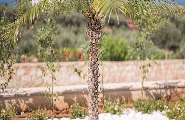 Marjorie Villa - Photo 21