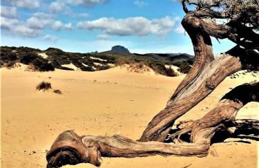 Oasi del Relax - Seaside Peaceful Panoramic Terrace in ITALY - new Sardinia apartment 50 mt beach&sea full comfort air conditioning-WiFi-Parking-Privacy - Foto 56