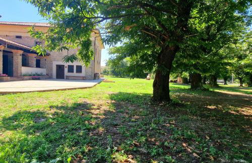 Sentinella dei castagni - Foto 1